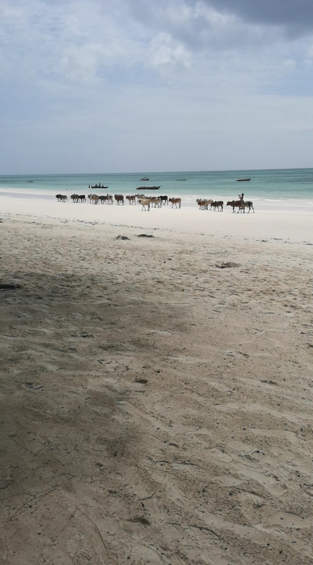 Screenshot_20190828_200845